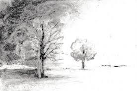twee bomen